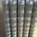 1.6M * 50M Galvanized Steel Wire Kraal Network